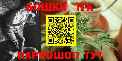 индика Краснознаменск