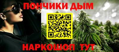 индика Краснознаменск