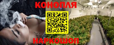 индика Краснознаменск