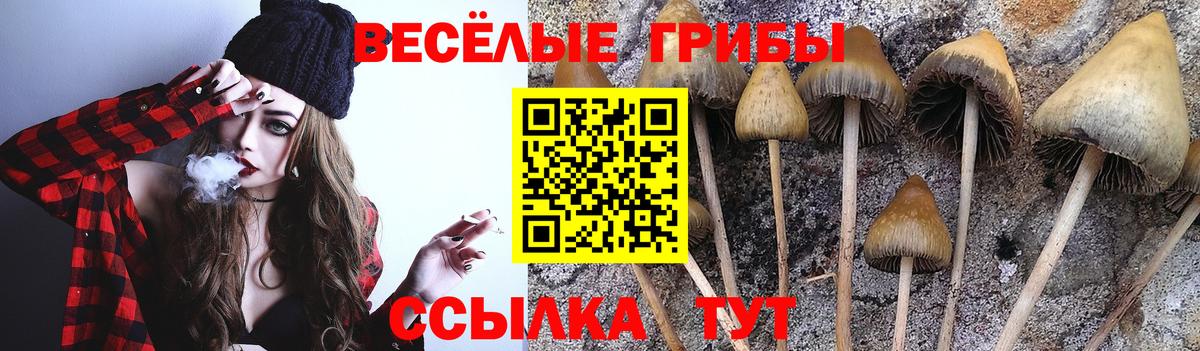 Фурманов  наркошоп  Вход с VPN  Псилоцибиновые грибы GOLDEN TEACHER  Псилоцибиновые грибы GOLDEN TEACHER 